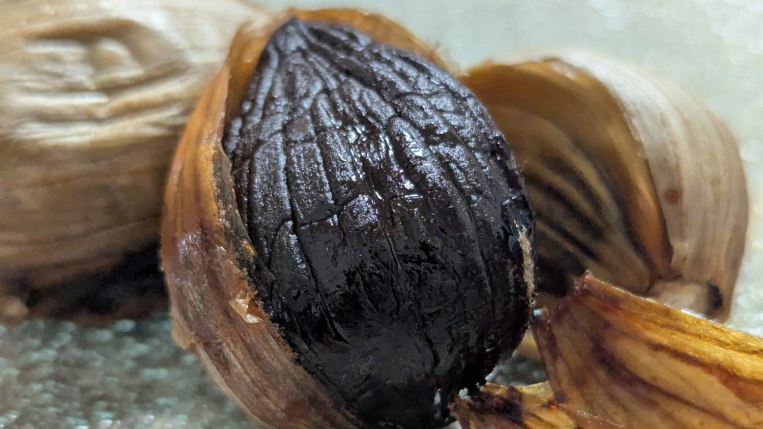 熟成を終え、皮から黒い実が覗く福地ホワイト六片